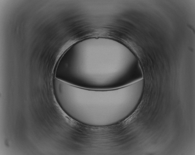 X0000097611434200802290745