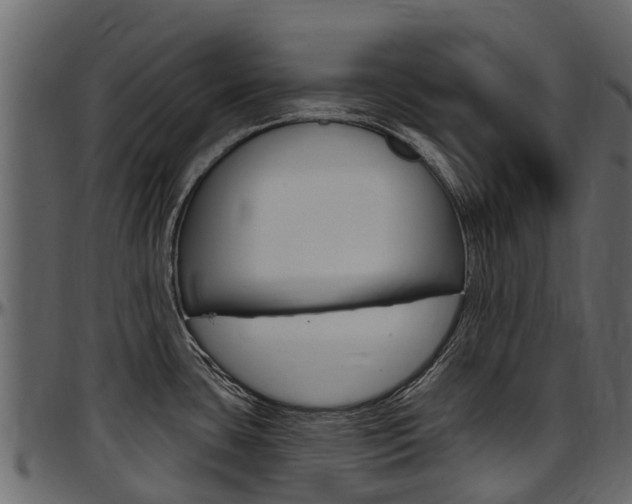 X0000097611435200802290745