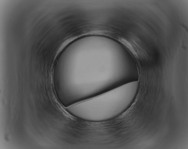 X0000097611436200802290745