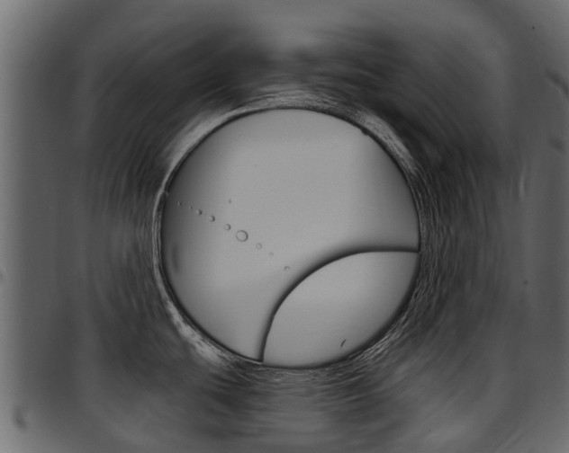 X0000097611439200802290745