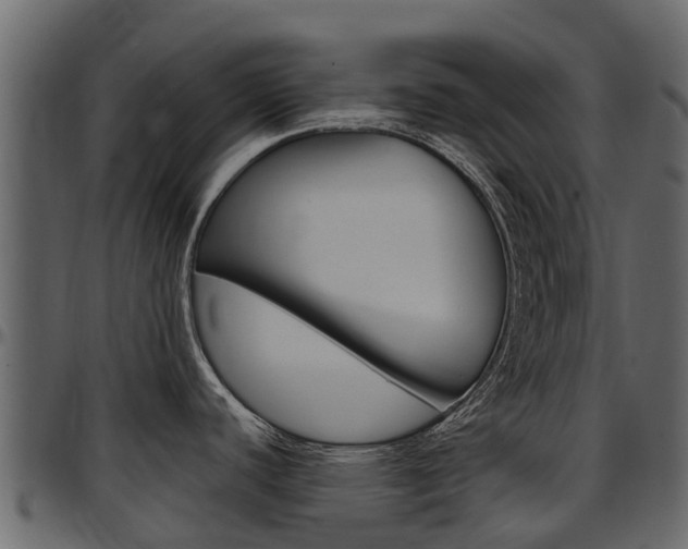 X0000097611440200802290745