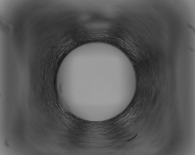 X0000097611441200802290744