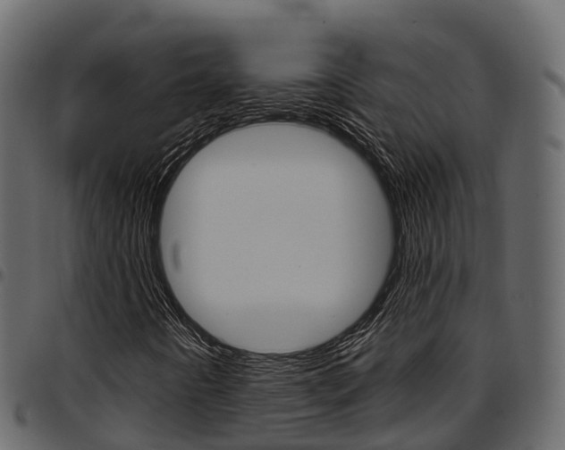 X0000097611442200802290744