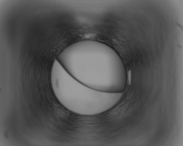 X0000097611443200802290744