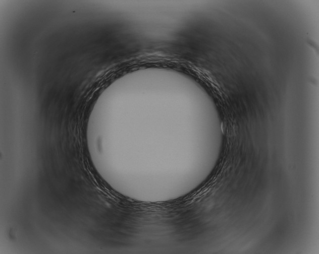 X0000097611445200802290744