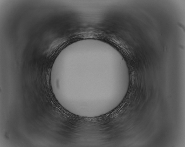 X0000097611446200802290744