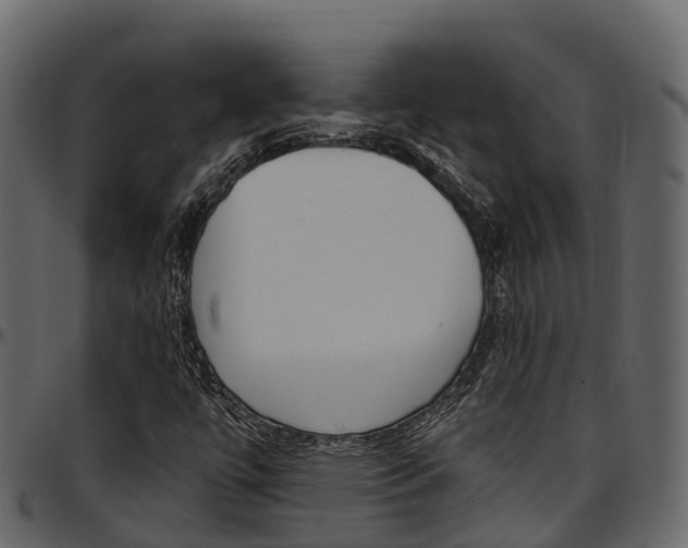 X0000097611447200802290744