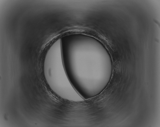 X0000097611448200802290744