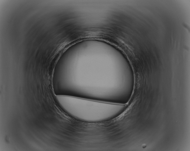 X0000097611449200802290744
