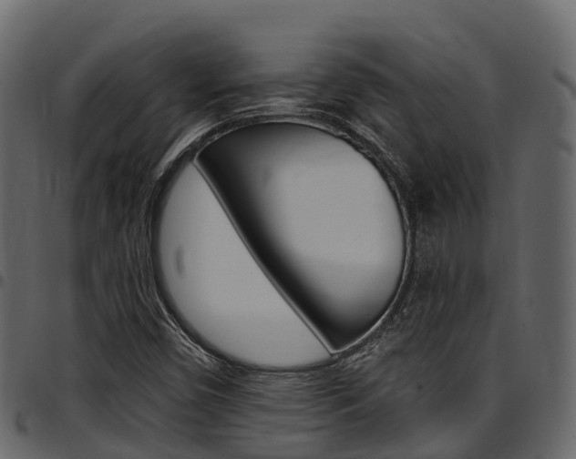 X0000097611450200802290744