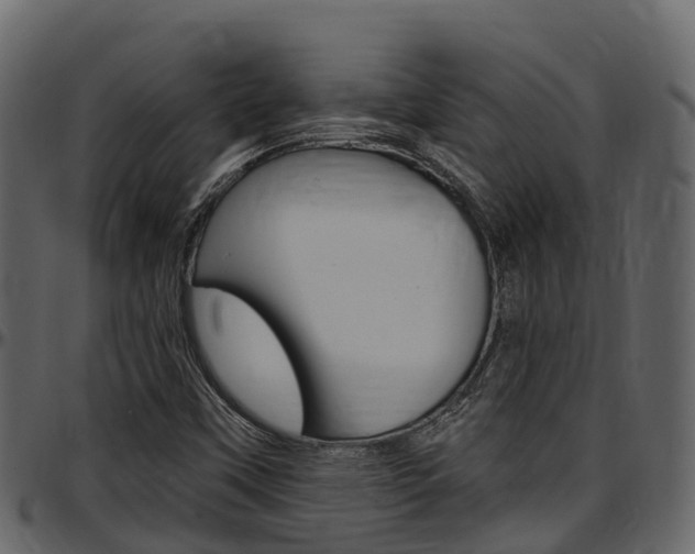 X0000097611451200802290744