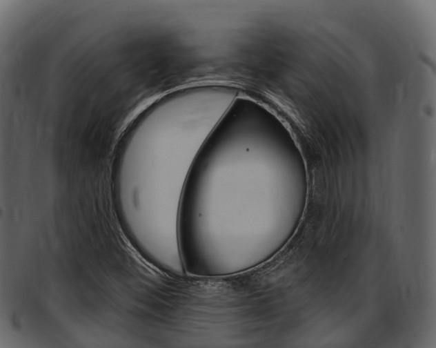 X0000097611452200802290744
