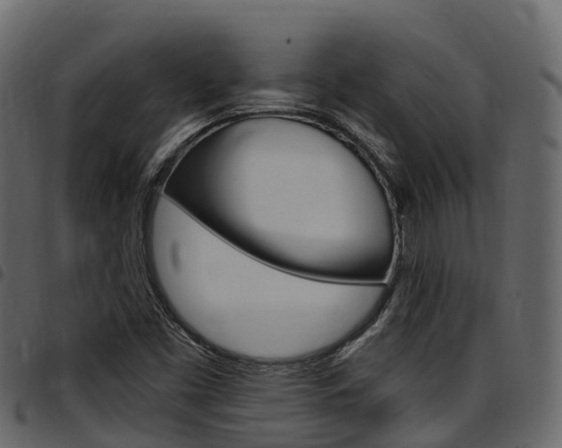 X0000097611453200802290744