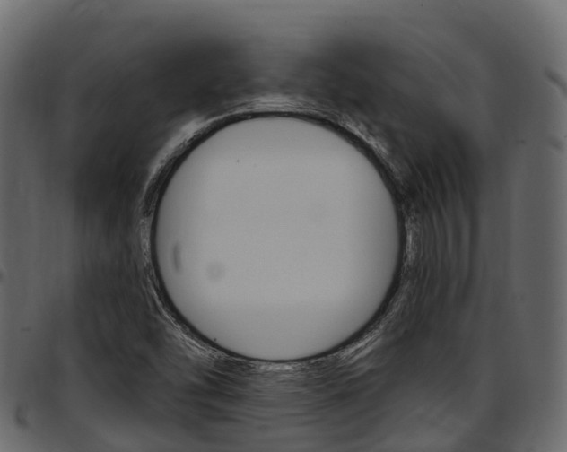 X0000097611454200802290744
