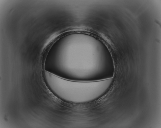 X0000097611456200802290744