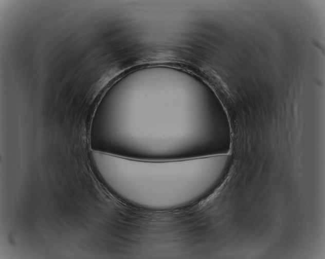 X0000097611457200802290744