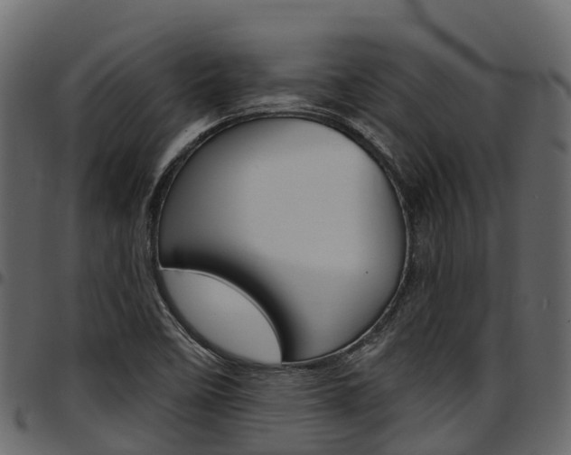 X0000097611458200802290744