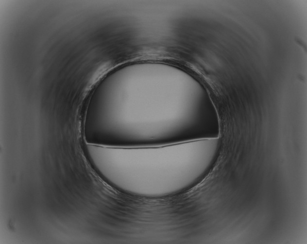 X0000097611459200802290744
