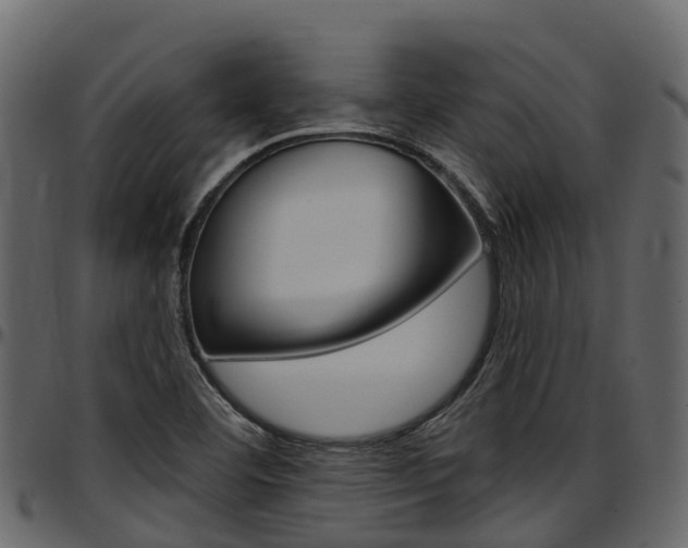 X0000097611460200802290744
