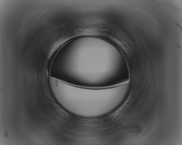 X0000097611461200802290744