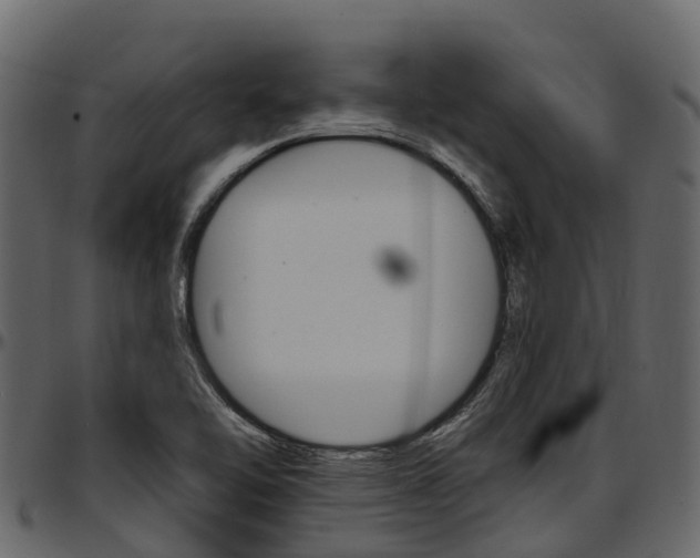 X0000097611462200802290744