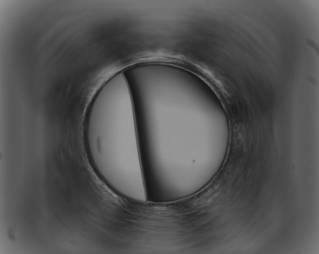 X0000097611463200802290744