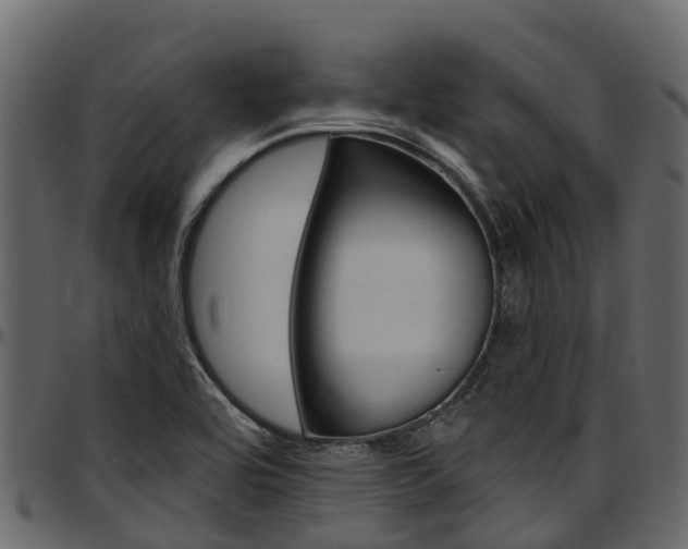 X0000097611464200802290744