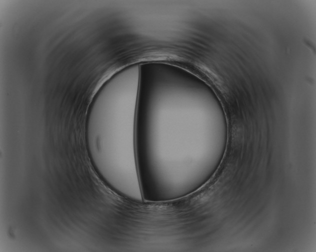 X0000097611465200802290744