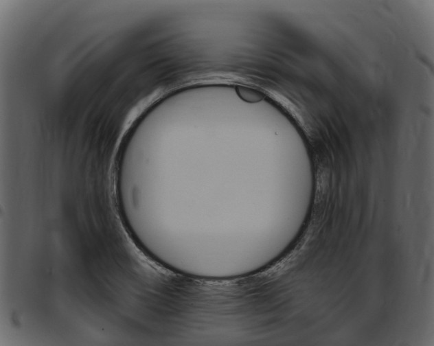 X0000097611466200802290744