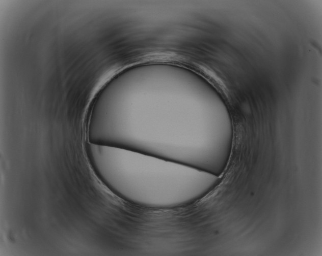 X0000097611467200802290744