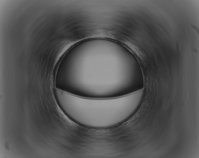 X0000097611468200802290744