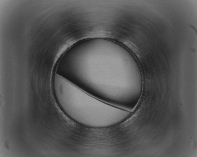X0000097611469200802290744