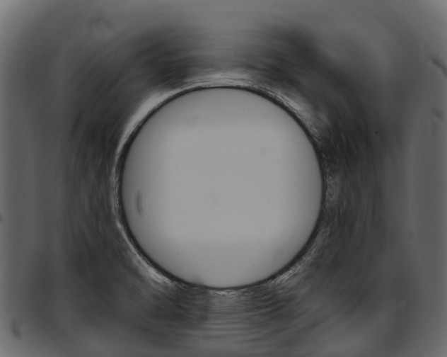 X0000097611470200802290744