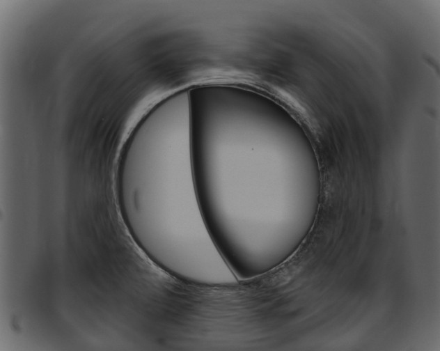 X0000097611472200802290744