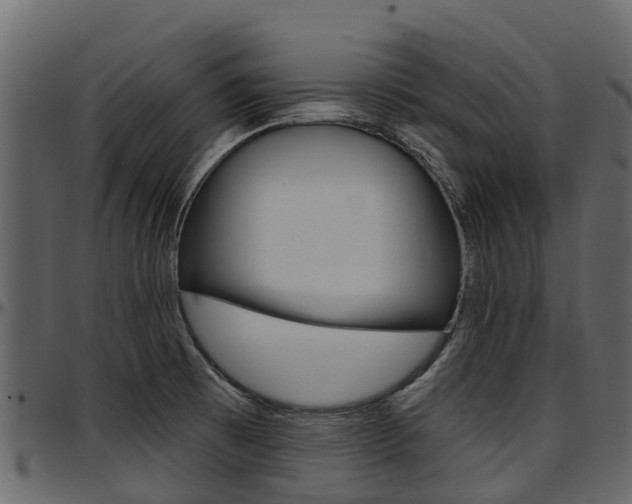 X0000097611473200802290744