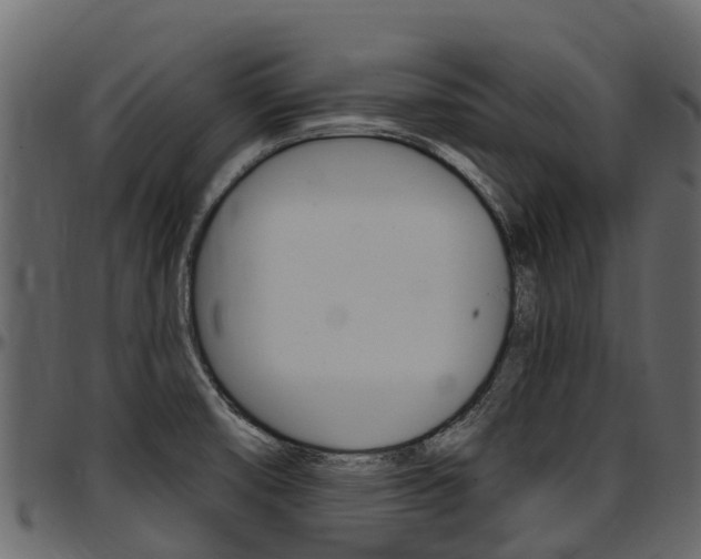 X0000097611474200802290744