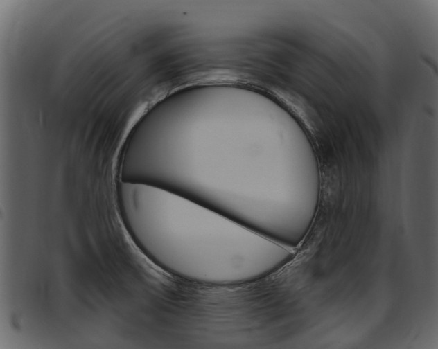 X0000097611475200802290744