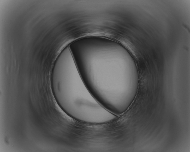 X0000097611476200802290744