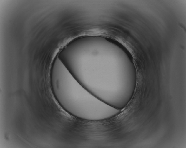X0000097611477200802290744