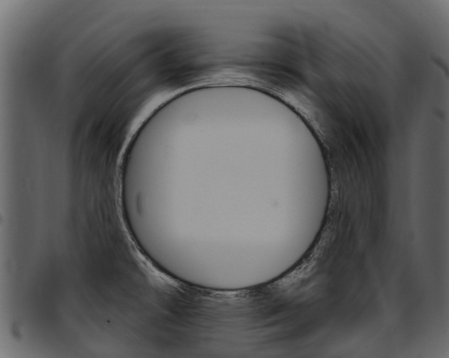 X0000097611478200802290744