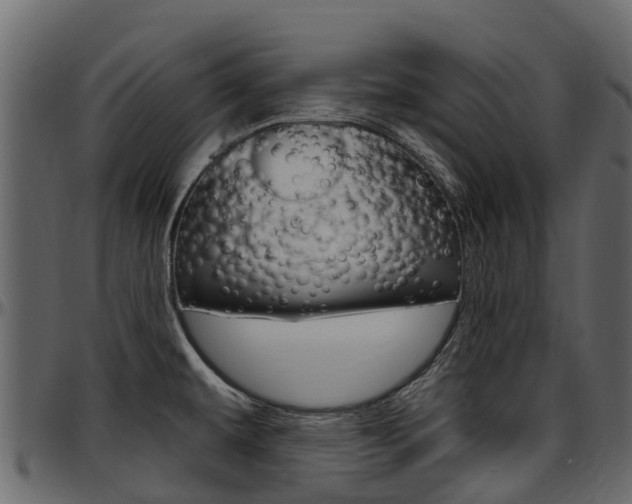 X0000097611479200802290744