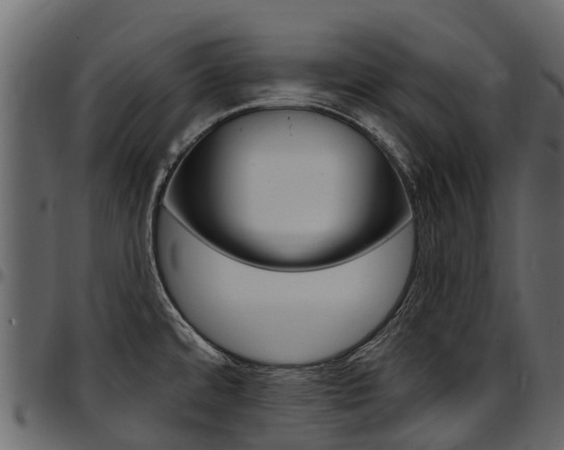 X0000097611480200802290744