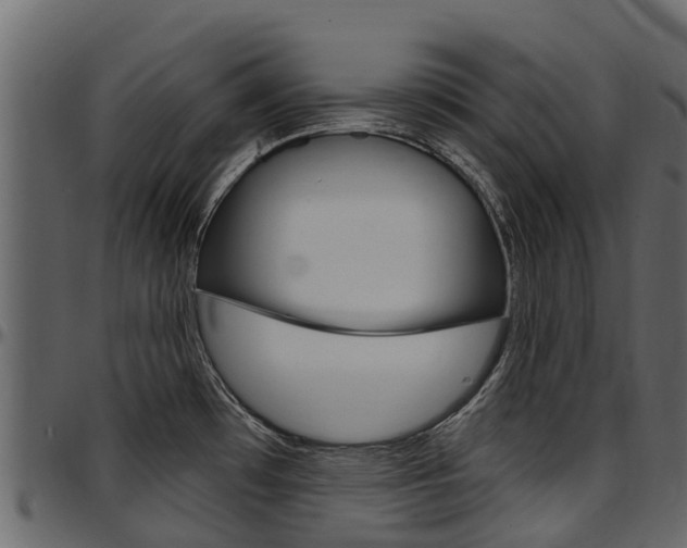 X0000097611481200802290744
