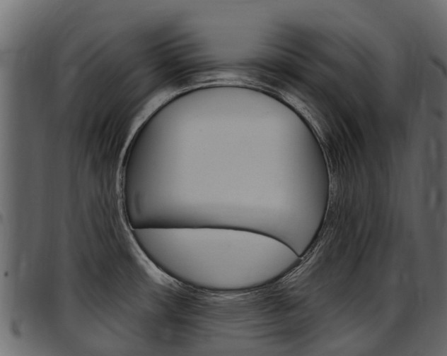 X0000097611482200802290744