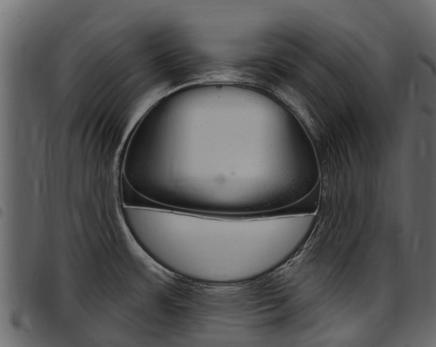 X0000097611483200802290744