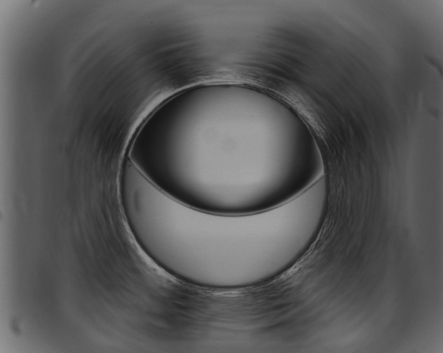 X0000097611484200802290744