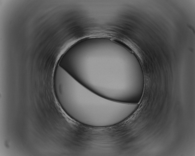 X0000097611485200802290744