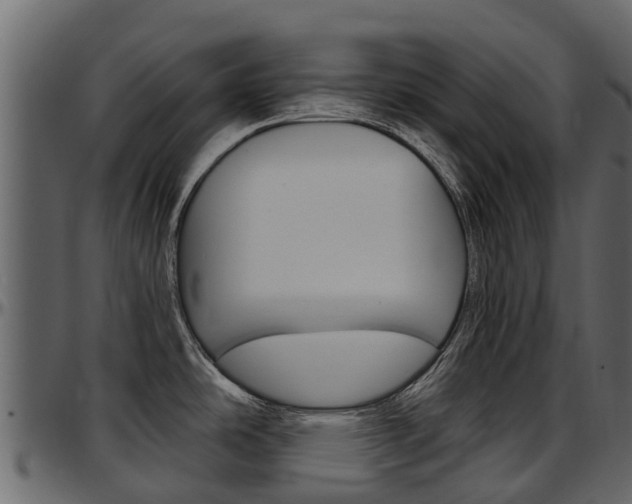 X0000097611486200802290744