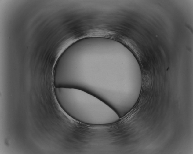 X0000097611487200802290744
