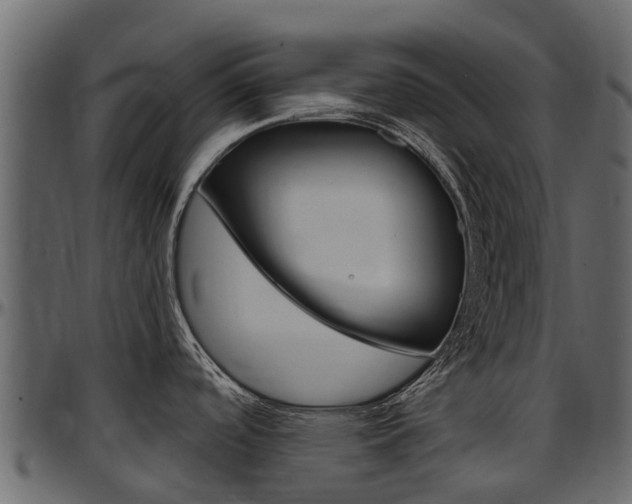 X0000097611488200802290744